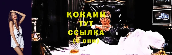молекула духа Приозерск
