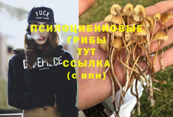a pvp Алексеевка