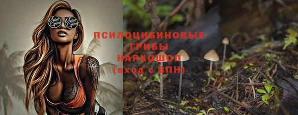 бошки Алексин