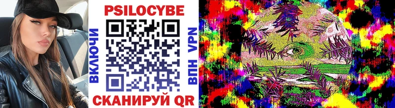гидра как войти  что такое   Исилькуль  Галлюциногенные грибы GOLDEN TEACHER 